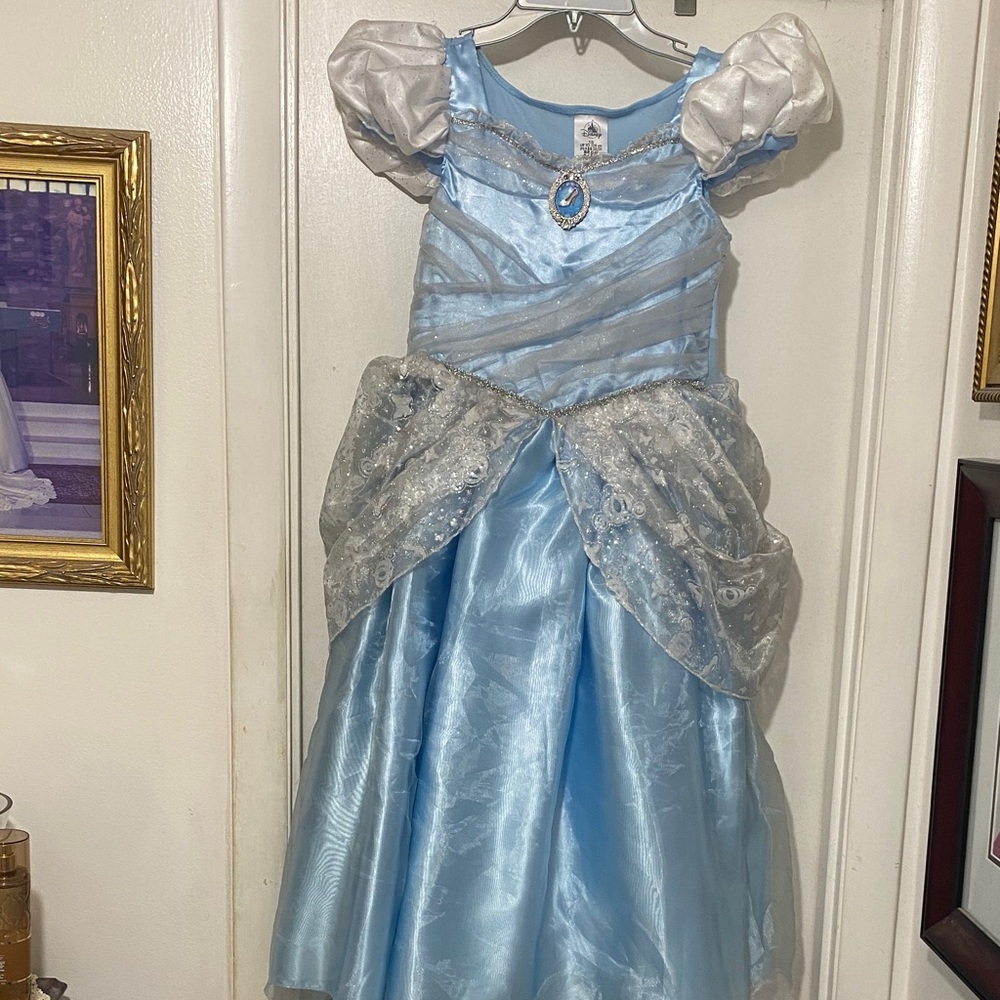 Disney Cinderella Light Blue and Silver Princess Costume from Disney World